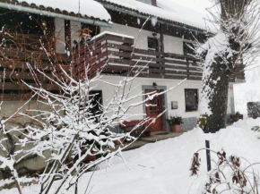 Apartma Pr Gatej